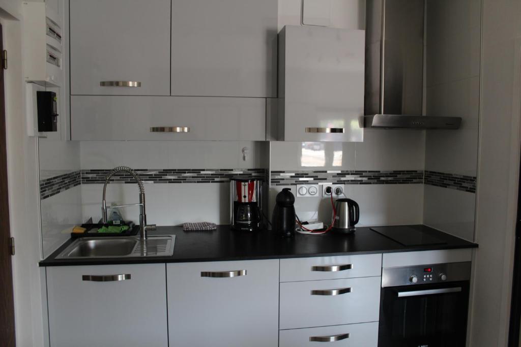 Grand Studio renove tout confort belles prestations Residence du Bois de lOurs appartement pied des pistes 14
