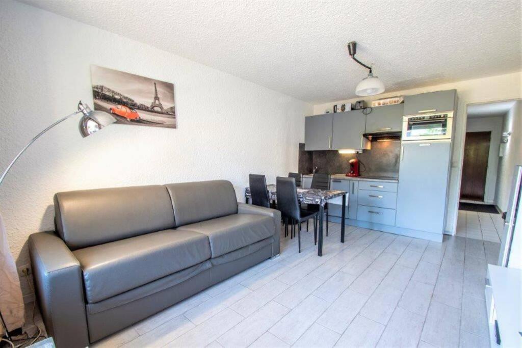Grand studio 2 Alpes hypercentre pied des pistes appartement pied des pistes 3