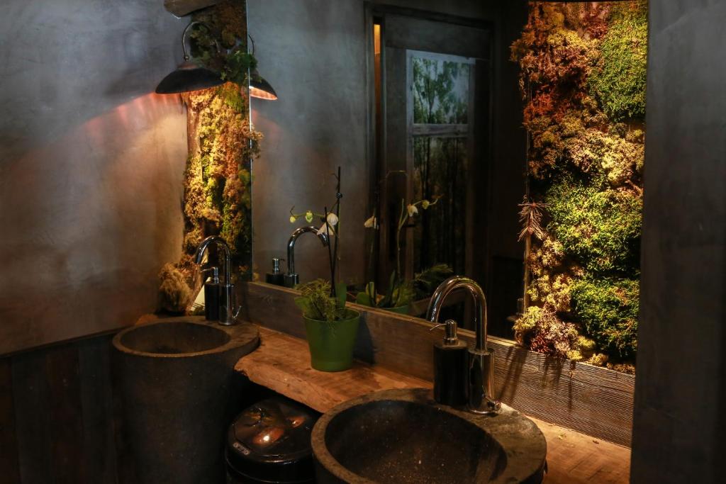 Green Ecolodge hotel pied des pistes 2