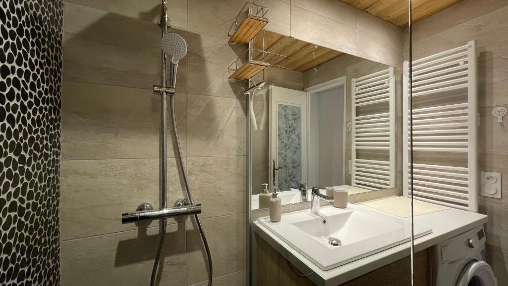 Homency Residence Les Gemeaux A5 appartement pied des pistes 17