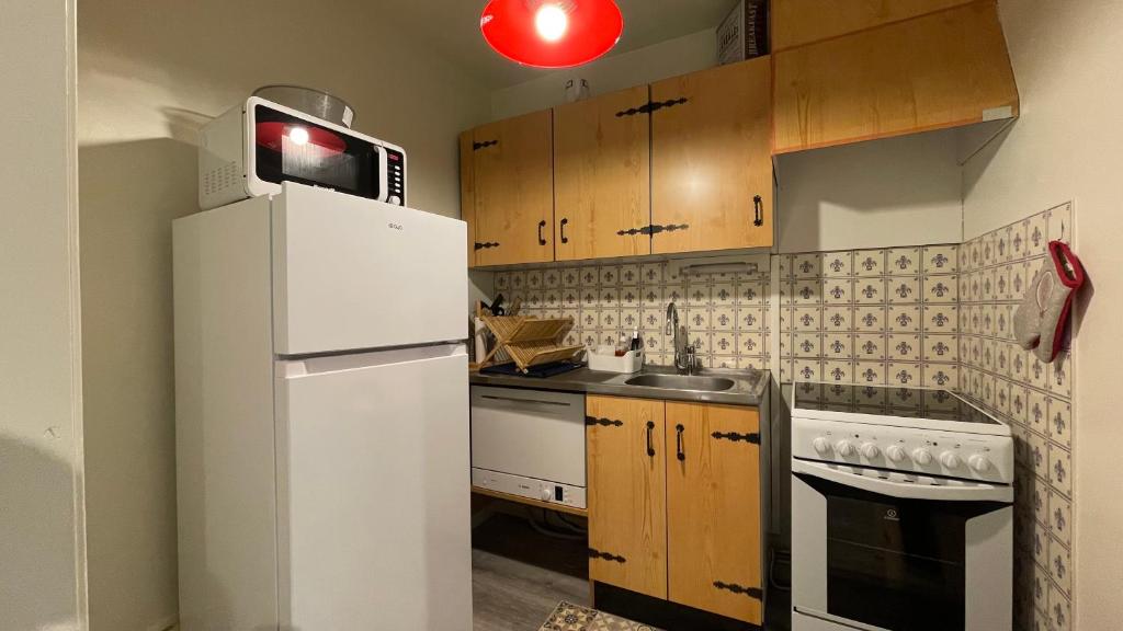 Homency Residence Les Gemeaux A5 appartement pied des pistes 3
