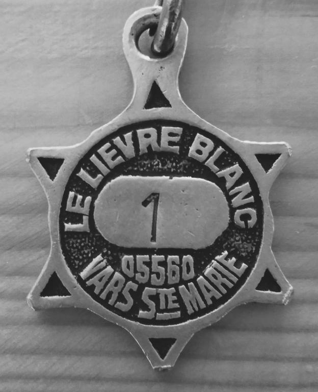 Hotel Le Lievre Blanc hotel pied des pistes 12