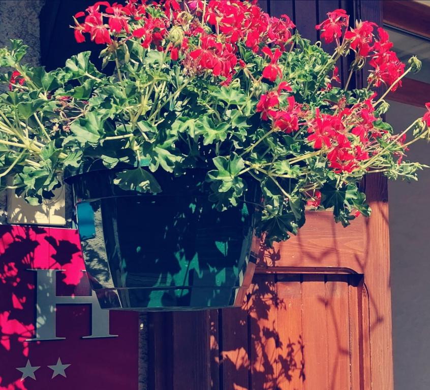 Hotel Le Lievre Blanc hotel pied des pistes 7