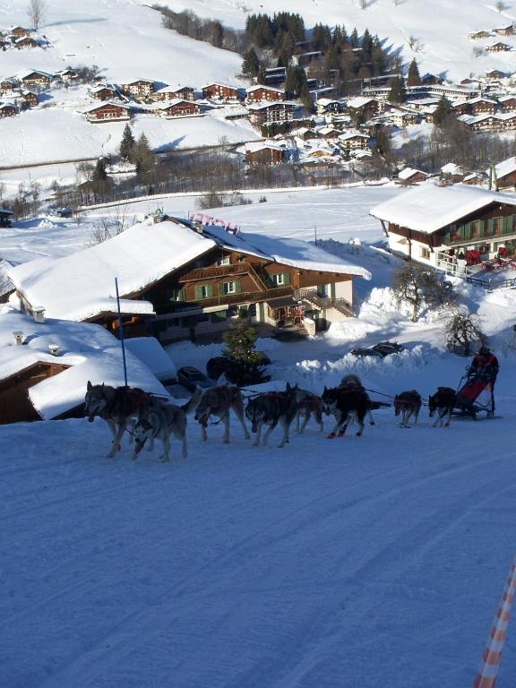 Hotel Les Bernards hotel pied des pistes 13