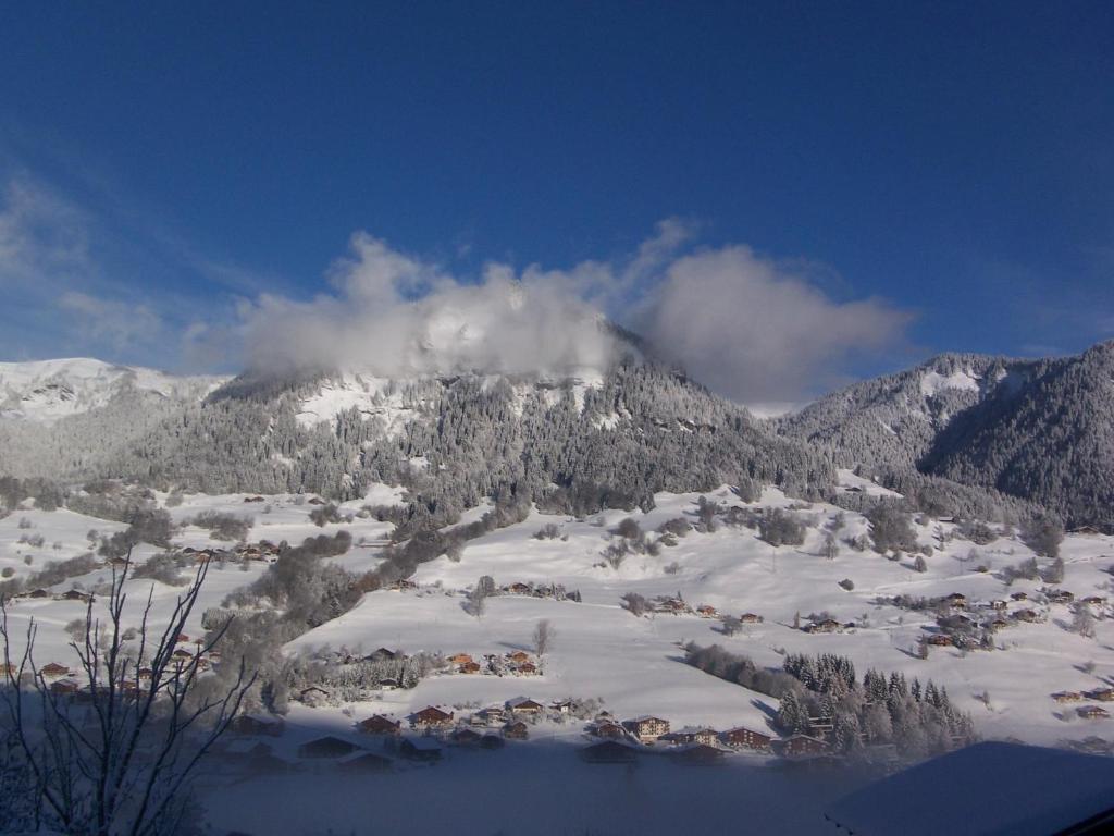 Hotel Les Bernards hotel pied des pistes 16