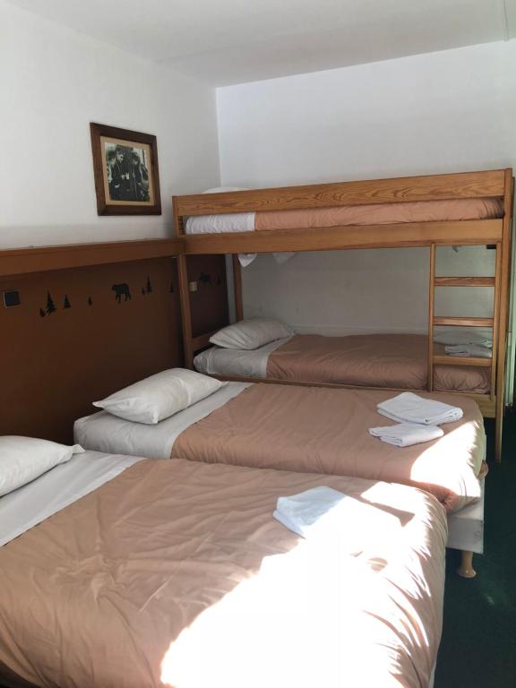 Hotel Les Trappeurs hotel pied des pistes 19