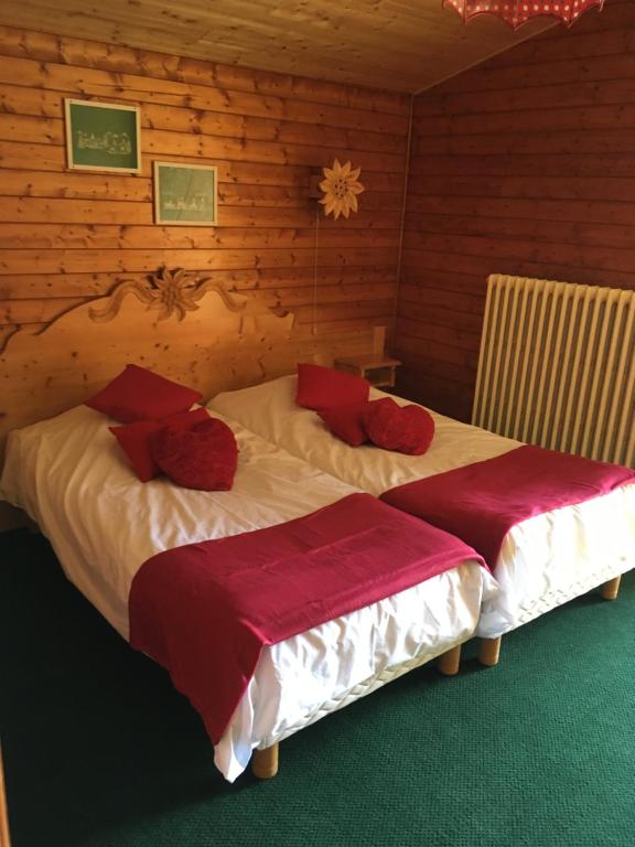 Hotel les skieurs hotel pied des pistes 1
