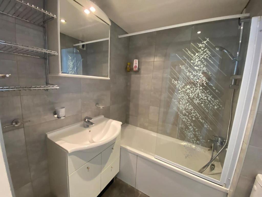 IMMODREAMS Le Refuge appartement pied des pistes 10