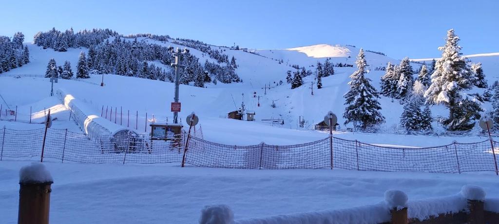 Ideal pour les vacances appartement pied des pistes 7