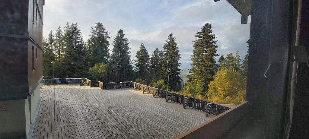 Ideal pour les vacances appartement pied des pistes