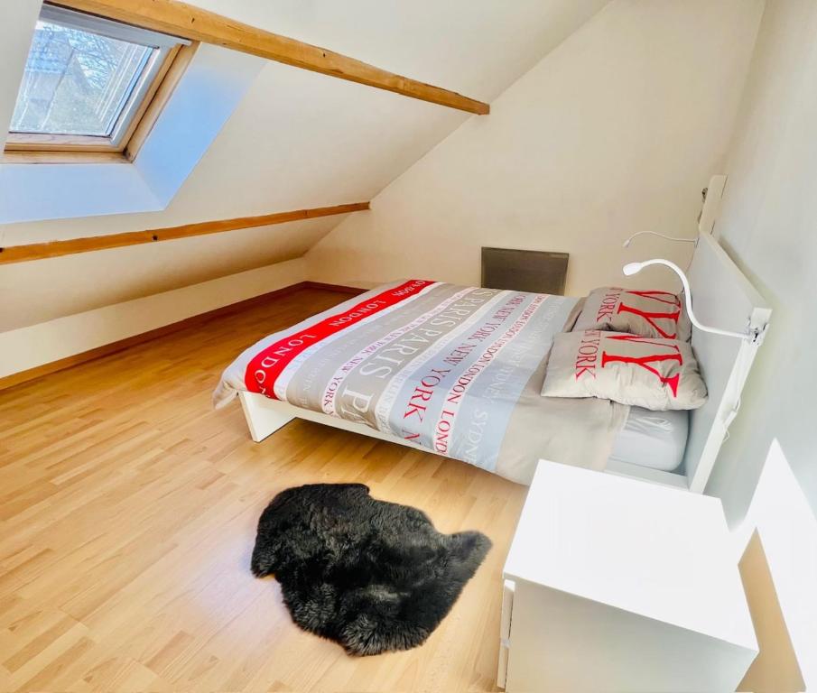 Joli triplex avec jardin et vue gite pied des pistes 10