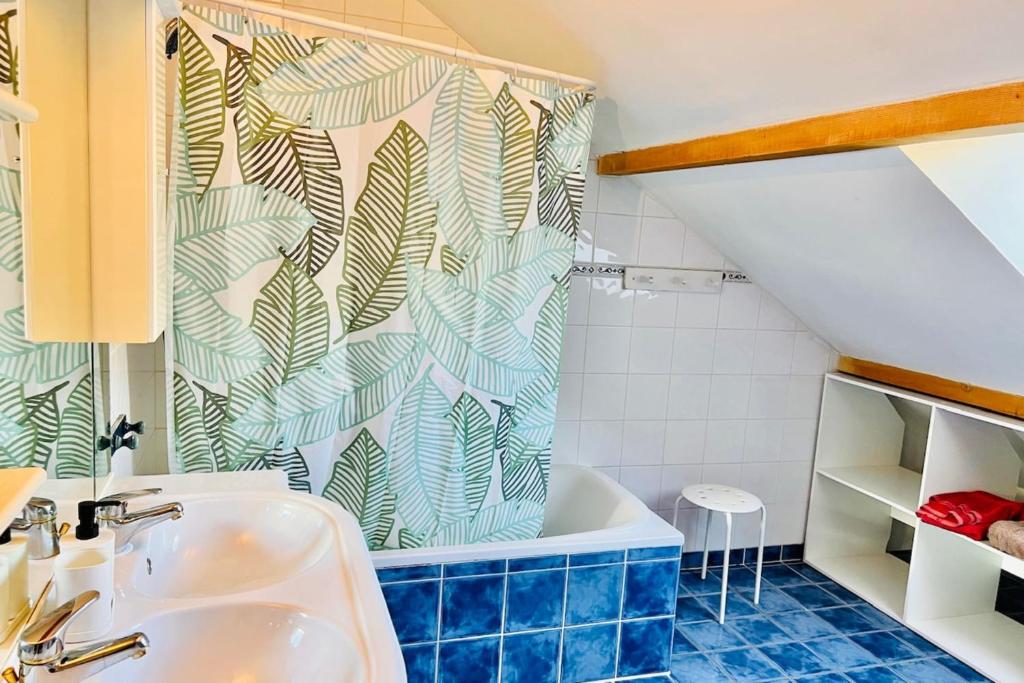 Joli triplex avec jardin et vue gite pied des pistes 12