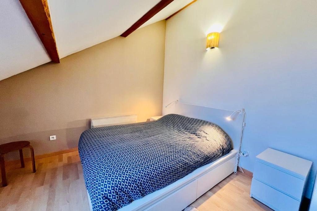 Joli triplex avec jardin et vue gite pied des pistes 9