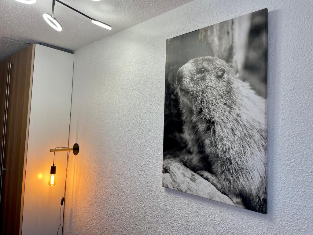 LAnsloBoys Montagne H2 appartement pied des pistes 14