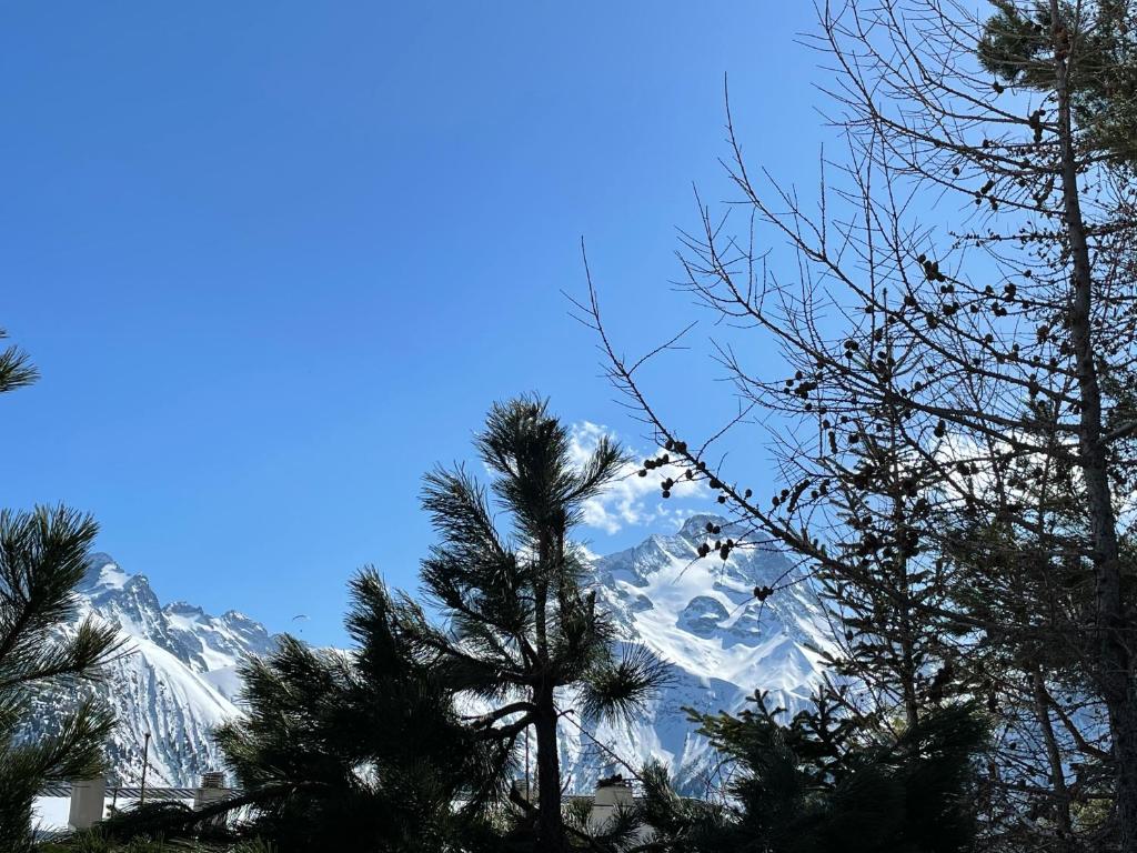 LAnsloBoys Montagne H2 appartement pied des pistes 17