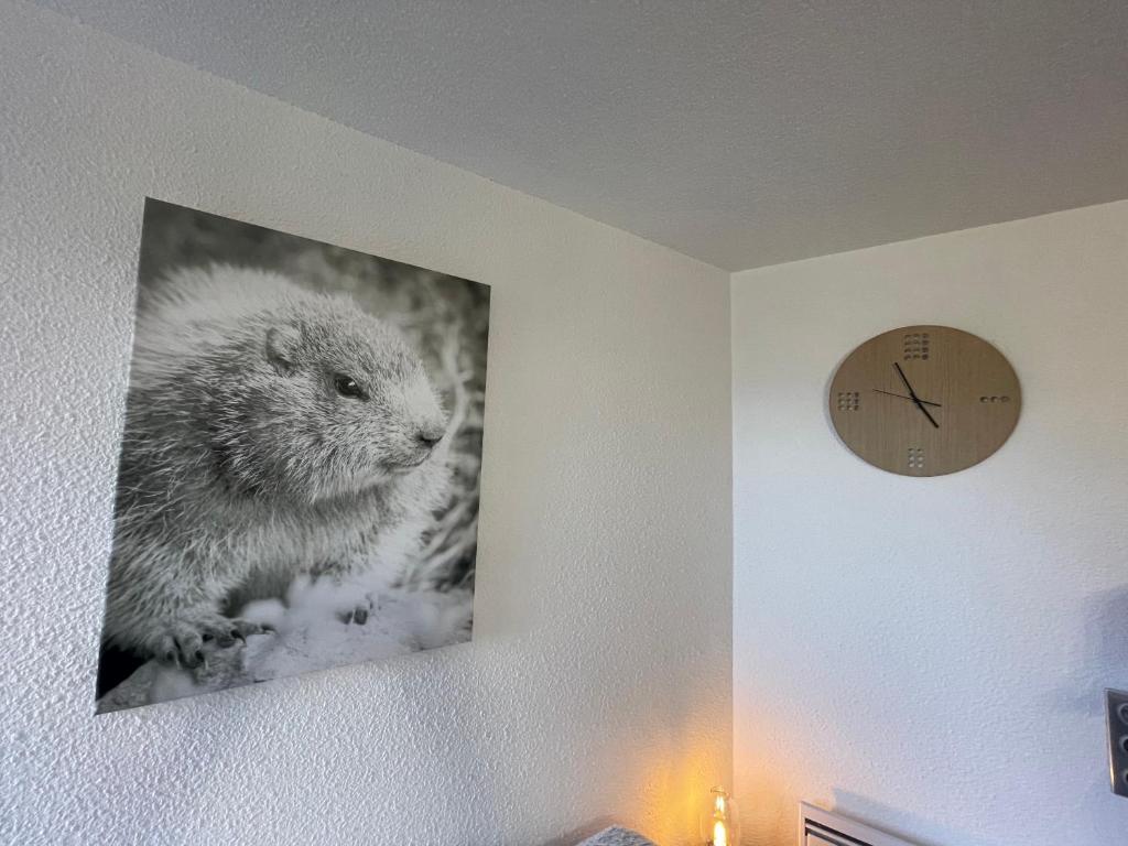 LAnsloBoys Montagne L2 appartement pied des pistes 18