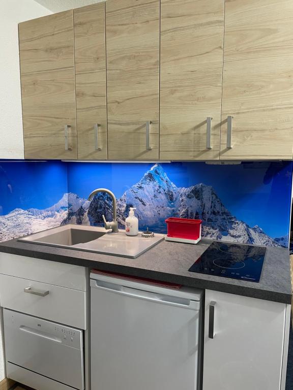 LAnsloBoys Montagne L2 appartement pied des pistes 3