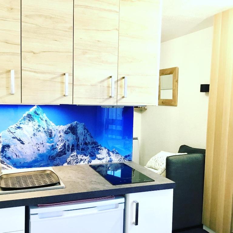 LAnsloBoys Montagne L2 appartement pied des pistes 4