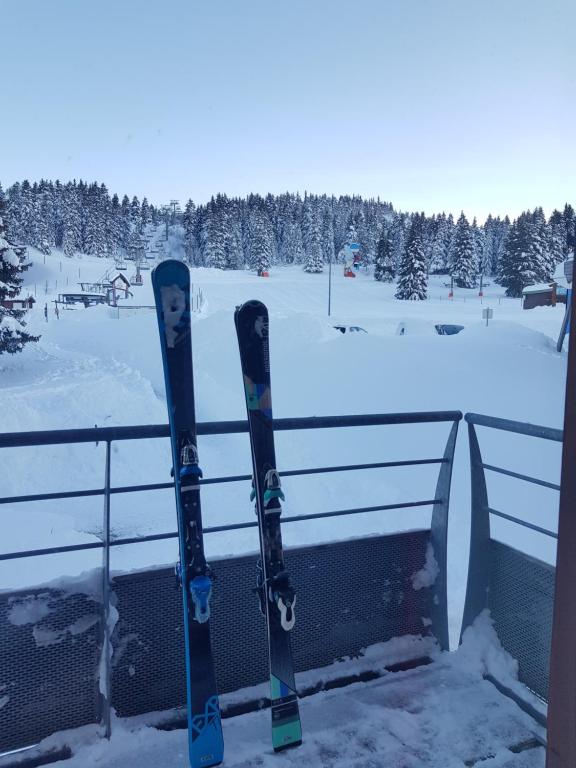 LApres ski Chamrousse 1700 appartement pied des pistes 10