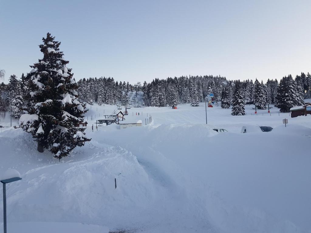 LApres ski Chamrousse 1700 appartement pied des pistes 11