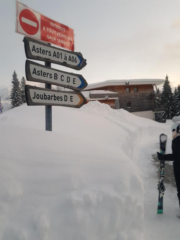 LApres ski Chamrousse 1700 appartement pied des pistes 19