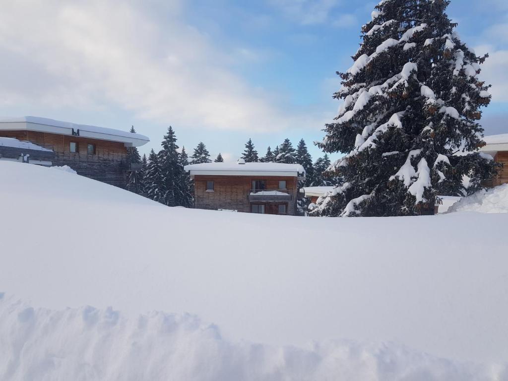 LApres ski Chamrousse 1700 appartement pied des pistes