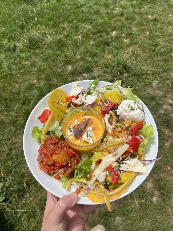 LE CHAMOIS hotel pied des pistes 10