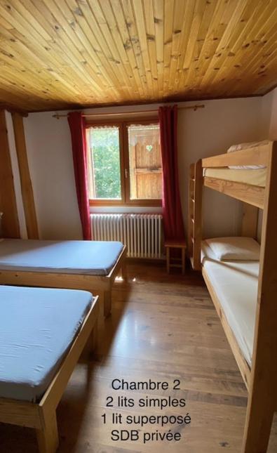 LE CHAMOIS hotel pied des pistes 19