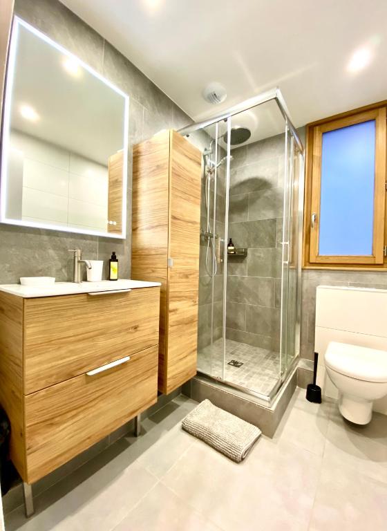 LEcrin Alpin somptueux 4 pieces NEUF coeur station appartement pied des pistes 2