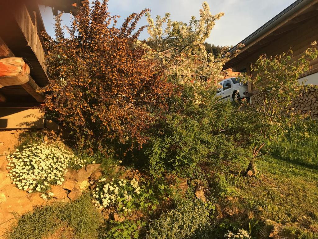 La Ferme des Georgieres Sejour en tout compris hotel pied des pistes 16