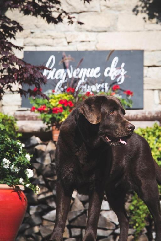 La Ferme hotel pied des pistes 16