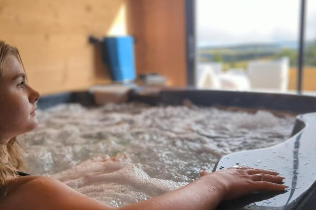 La Fleche 1 Chalet Standing Jacuzzi Privatif chalet pied des pistes 5