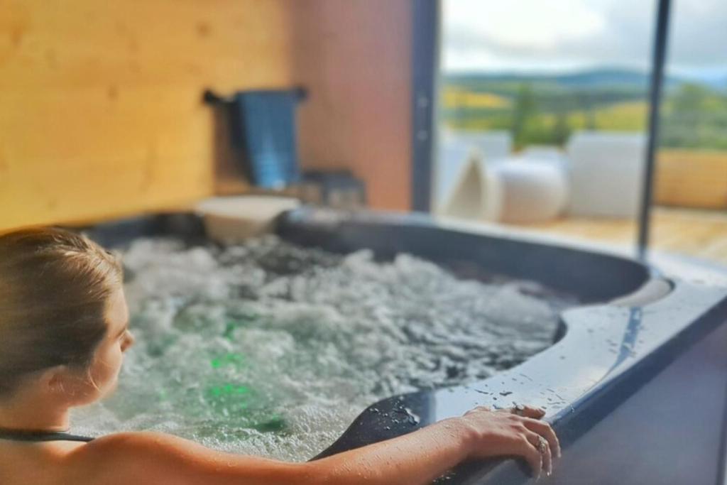 La Fleche 2 Chalet Standing Jacuzzi Privatif gite pied des pistes 2