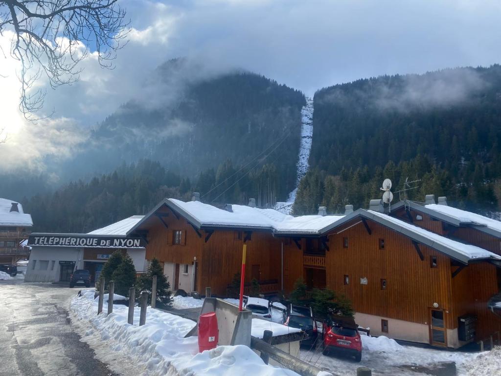 La Grangette Morzine appartement pied des pistes 11