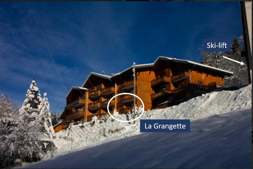 La Grangette Morzine appartement pied des pistes 8