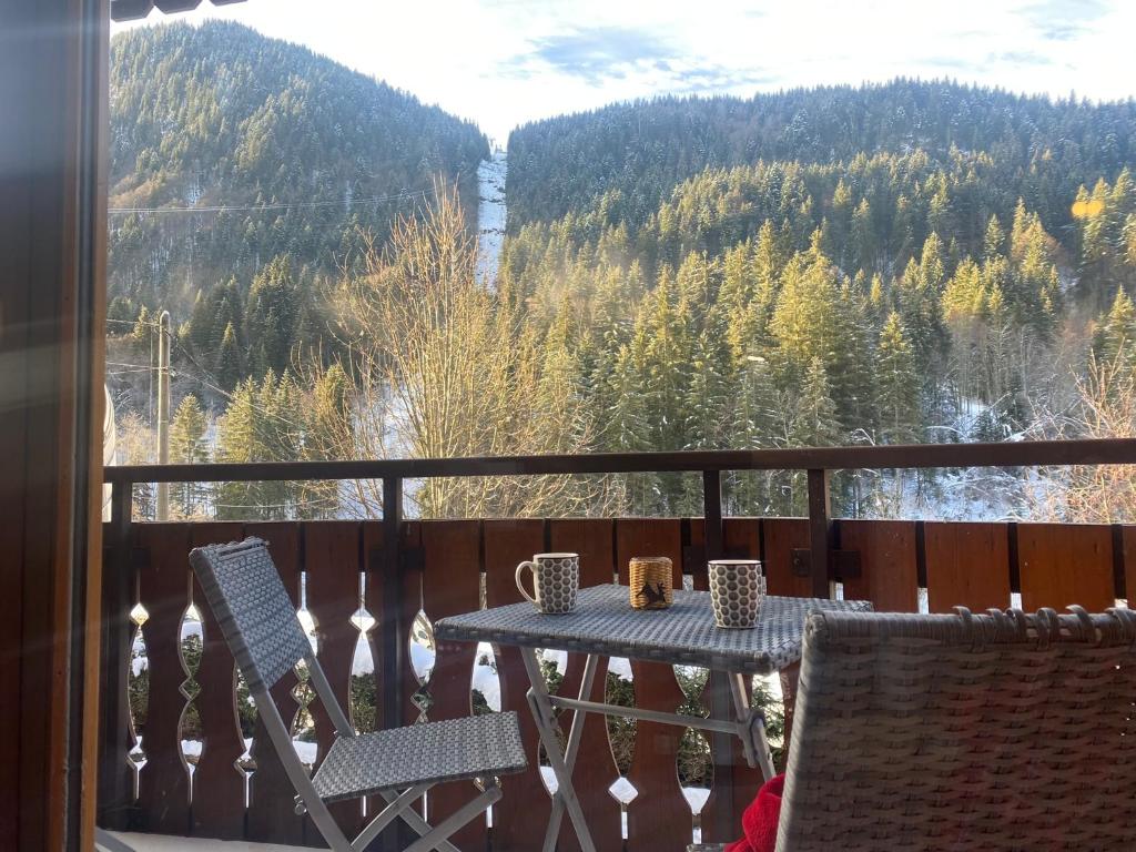 La Grangette Morzine appartement pied des pistes 9