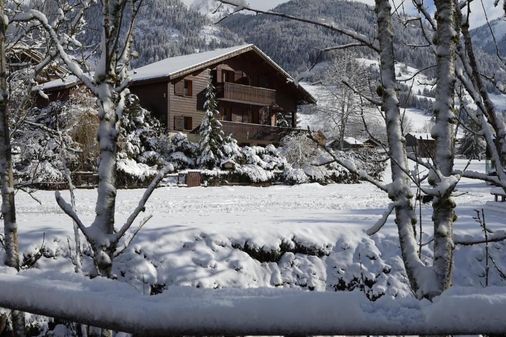 La Joly ChaletYap appartement pied des pistes