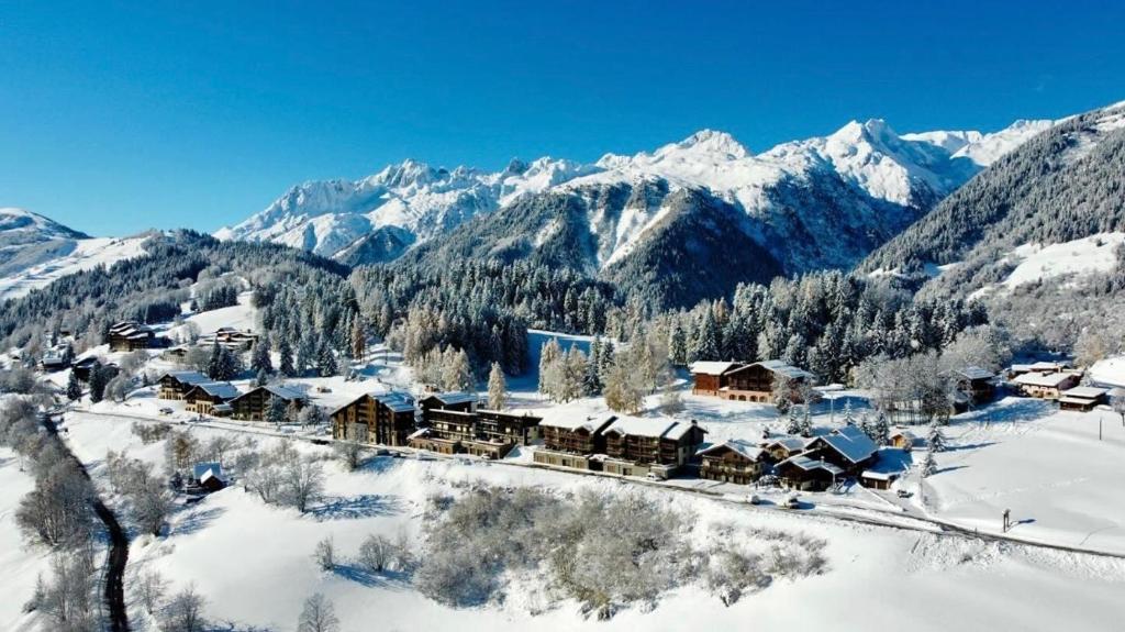 La Montagnarde avec vue imprenable station Doucy Valmorel 4pers appartement pied des pistes 6