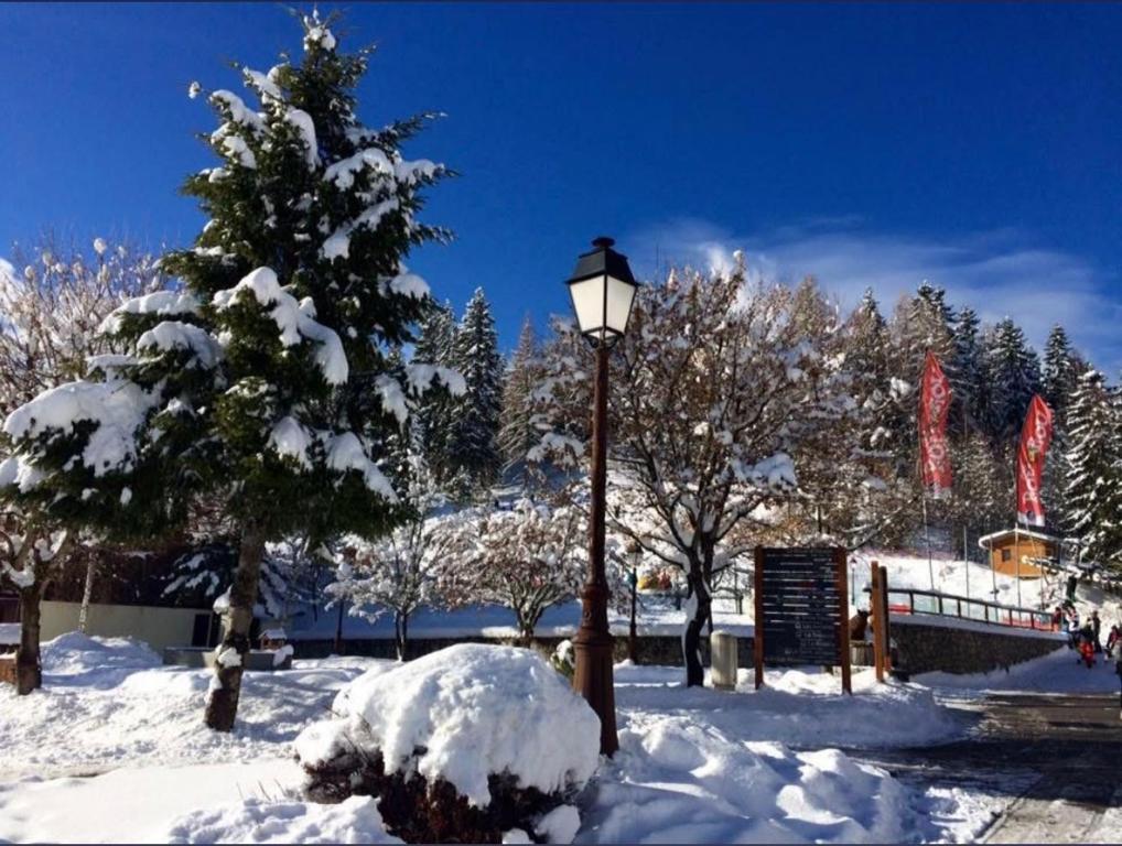 La Montagnarde avec vue imprenable station Doucy Valmorel 4pers appartement pied des pistes 8