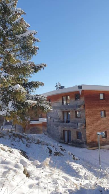 La Parenthese Chamroussienne Proche pistes de ski appartement pied des pistes 18
