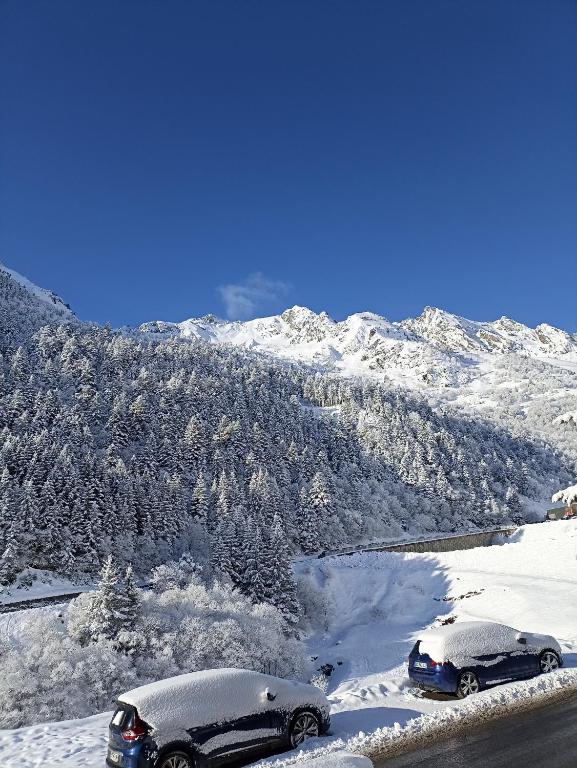 La Sapiniere hotel pied des pistes 6