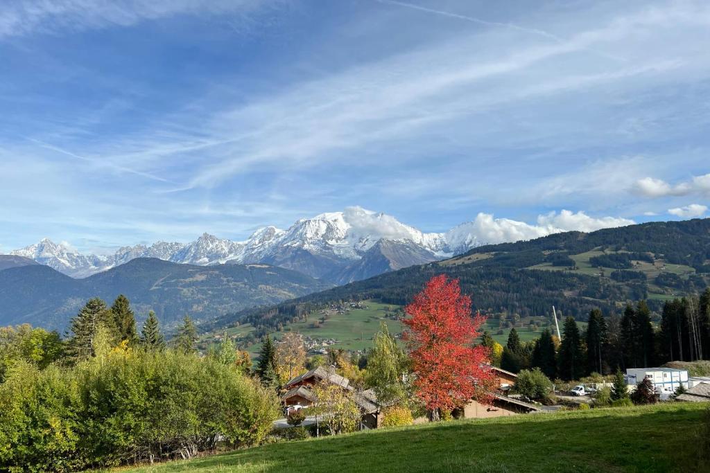 La Suite Edelweiss Welkeys gite pied des pistes 14