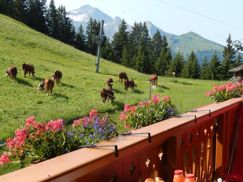 La Vieille Ferme hotel pied des pistes 2