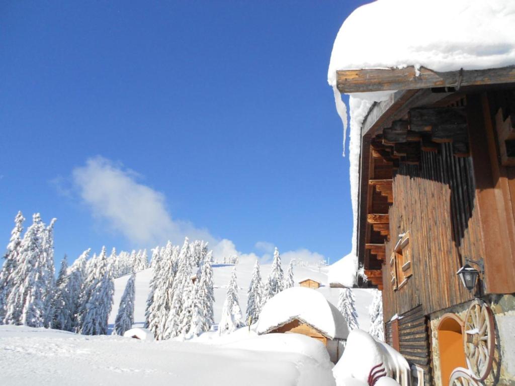 La Vieille Ferme hotel pied des pistes 7