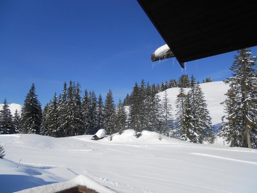 La Vieille Ferme hotel pied des pistes 8