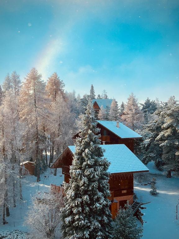 La joue du loup aux pieds des pistes et vue sur montagnes appartement pied des pistes 13