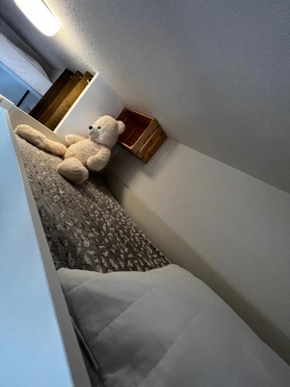 La joue du loup aux pieds des pistes et vue sur montagnes appartement pied des pistes 17