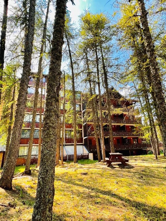 La joue du loup aux pieds des pistes et vue sur montagnes appartement pied des pistes 5