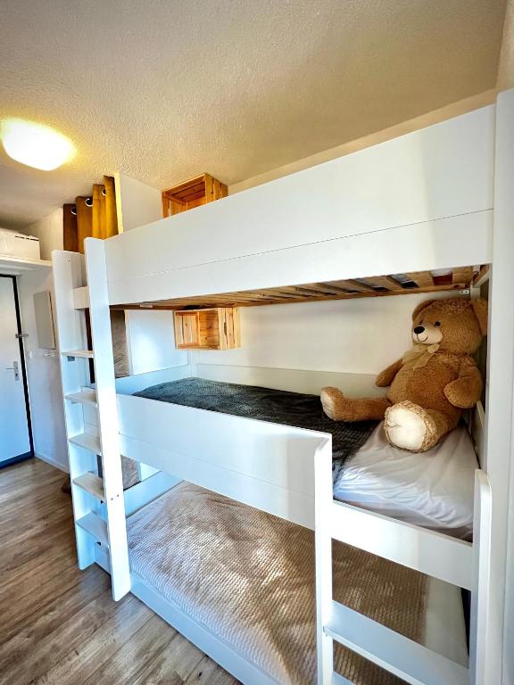 La joue du loup aux pieds des pistes et vue sur montagnes appartement pied des pistes 6