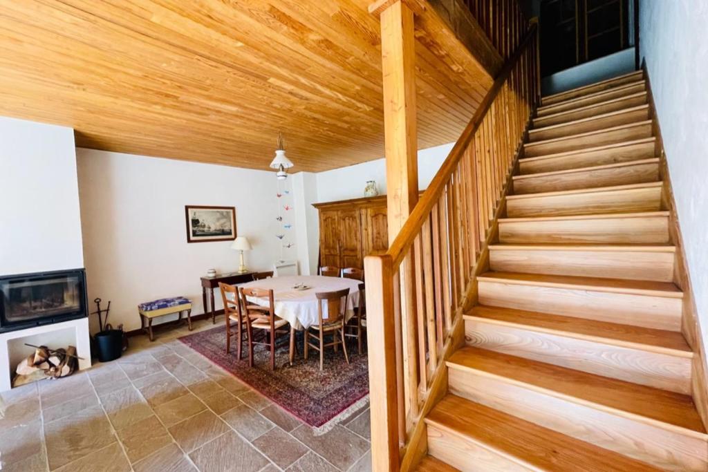 Large family nest with garden gite pied des pistes 19